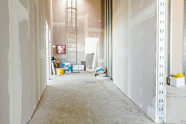 Best Drywall Sanding and Smoothing  in Wheaton, IL